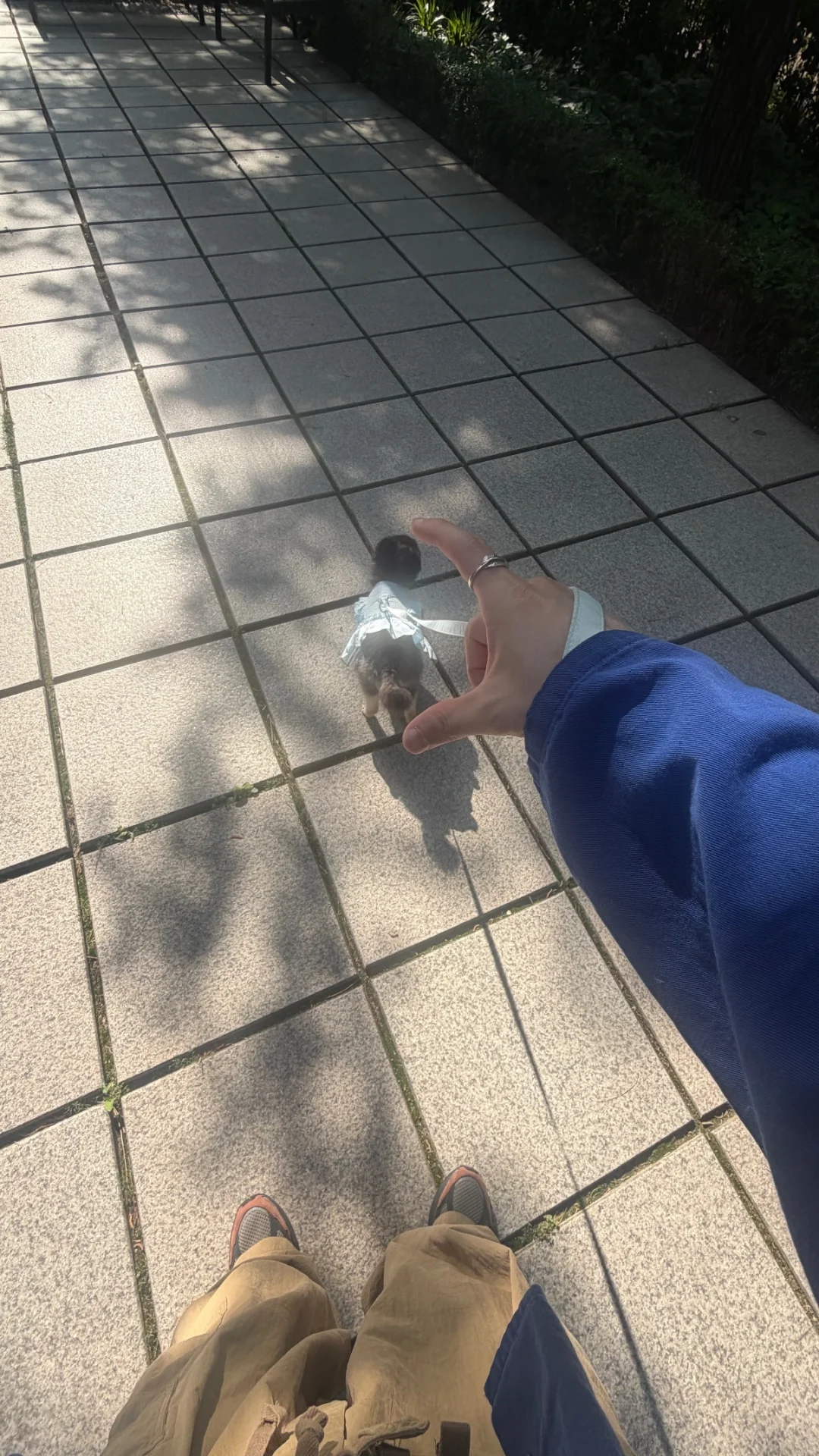 小不点～