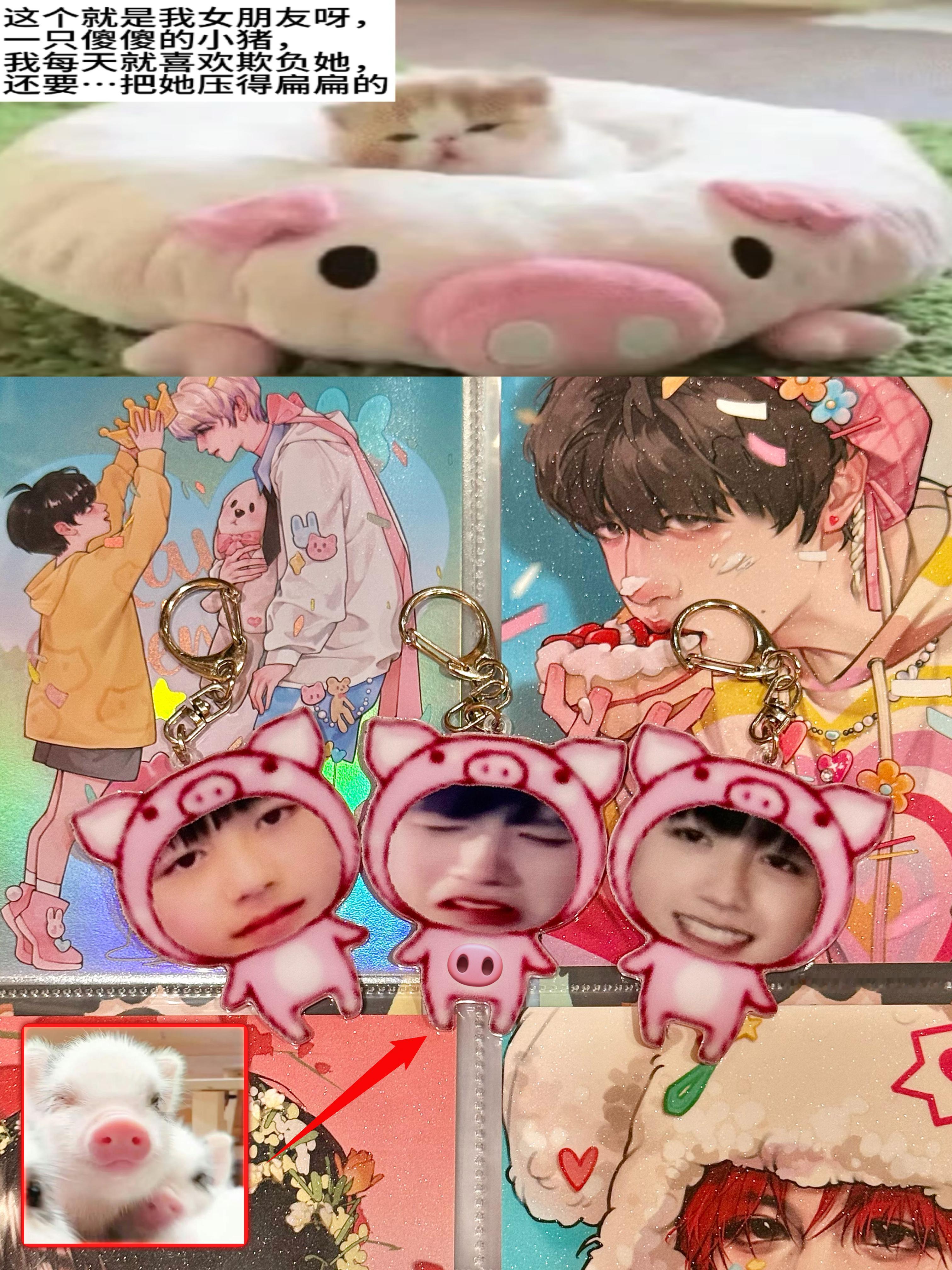 然后呢我的相册里多了三只猪 ​​​