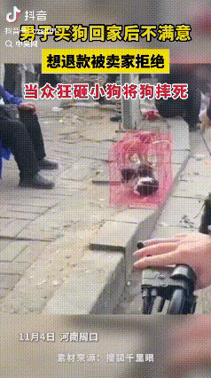 丧丧心病狂！河南周口某集市上，一名男子花50元买了只小狗。没想到因嫌弃刚买的狗狗