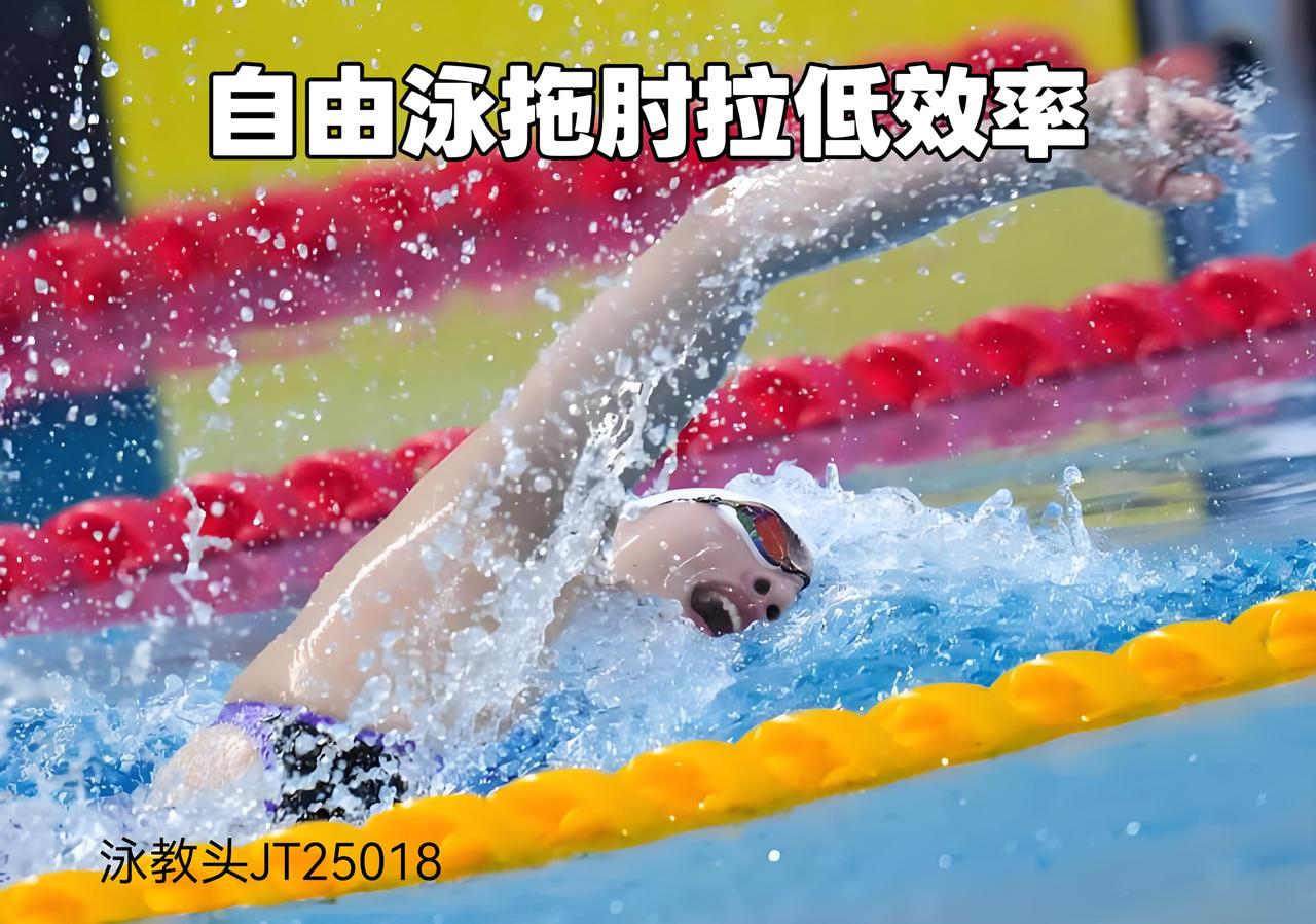 避开拖肘提升速度
自由泳以流畅高效、速度见长，是很多游泳爱好者的首选泳姿。可不少
