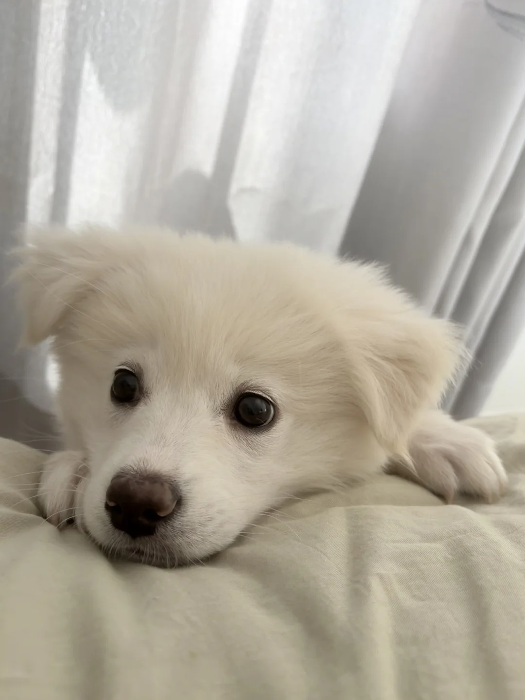 人，你怎么还不起床？