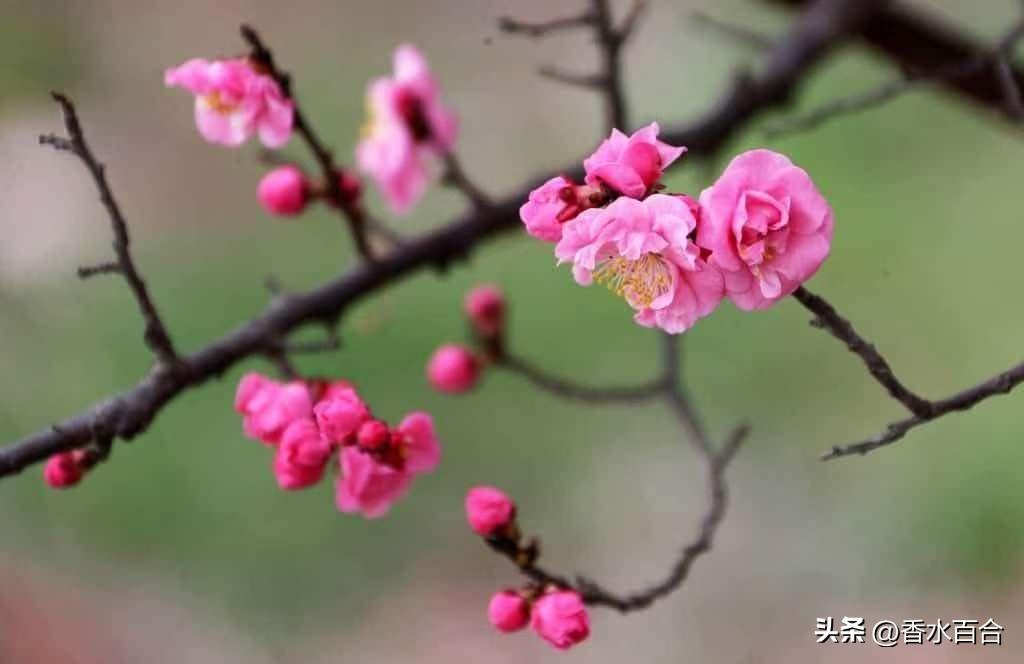 3月27日，尼加拉瓜凌晨1时15分，发生5.6级地震，震中距离首都80公里；6时