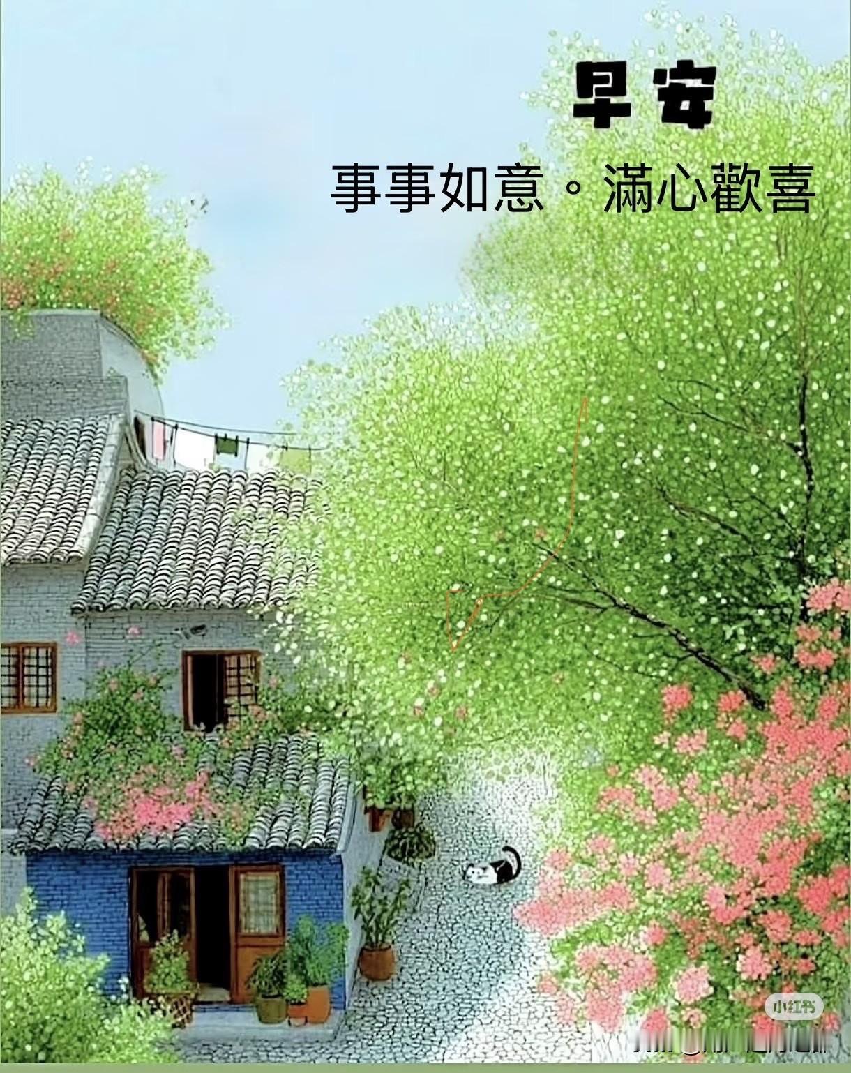 小院宁静，猫咪悠闲晒太阳。