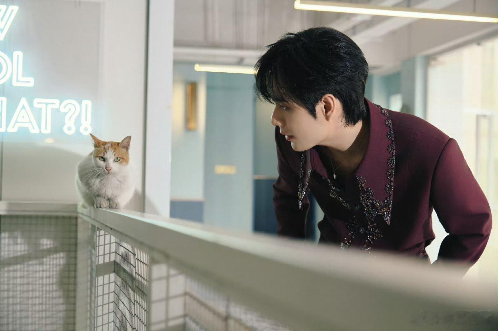 张颜齐202会有亿点吵王安宇神预判拿捏全场，早就看透202的吵闹本质。颜安、鹭卓