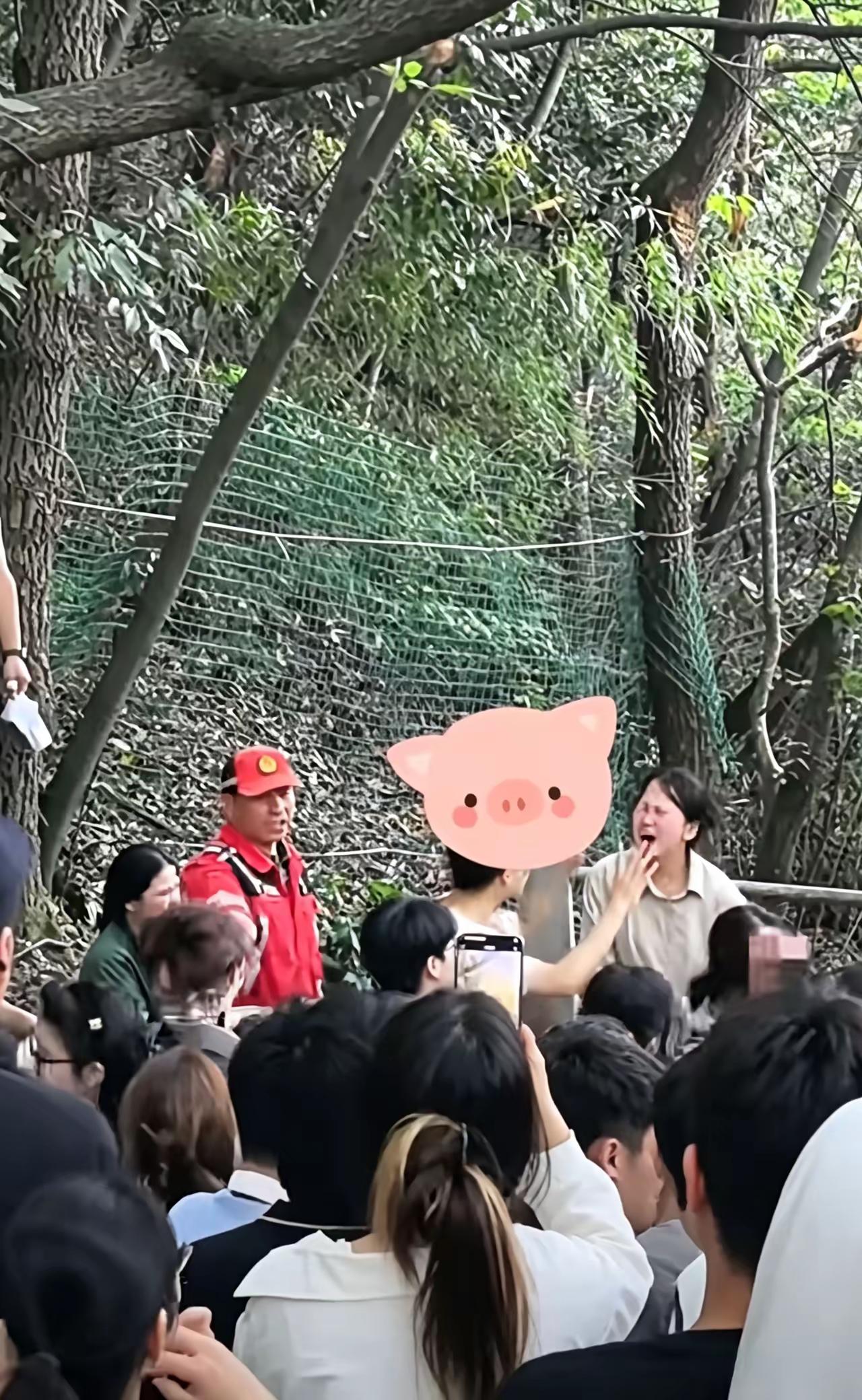 天下婚姻皆为美满而歌，但不成传世之作
只有起伏跌宕的悲鸣婚姻，经过阵痛，经过九九