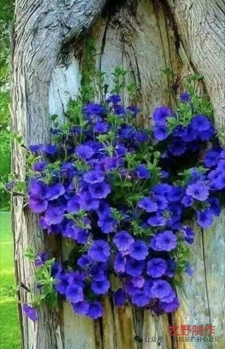 独居久了，连饭都嫌烦了