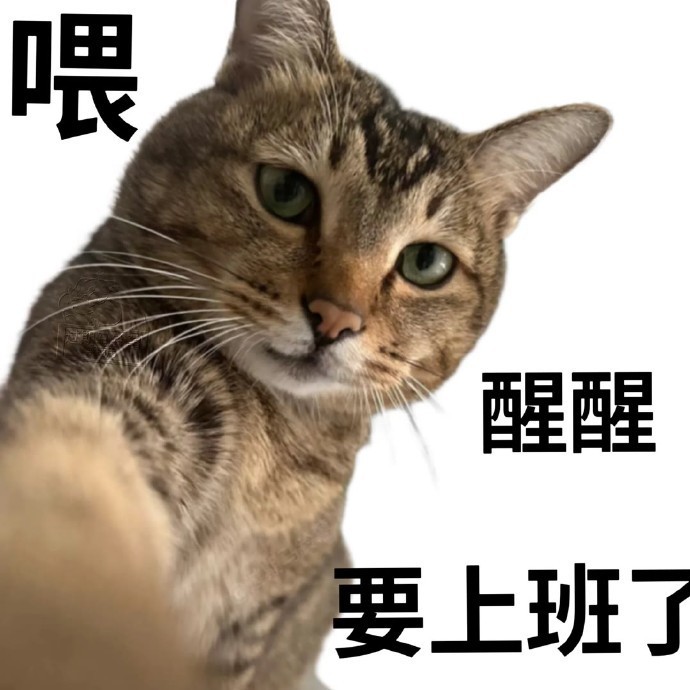 看到个话题说是人到中年更应该重新规划人生我已经开始规划了，打算买个B型房车，有很