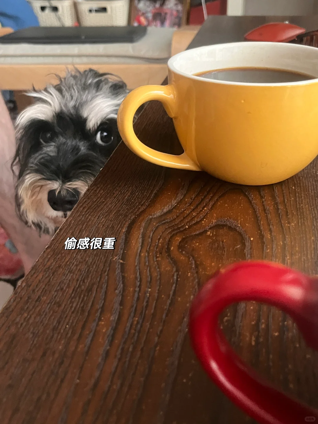 在看我就要亲你咯