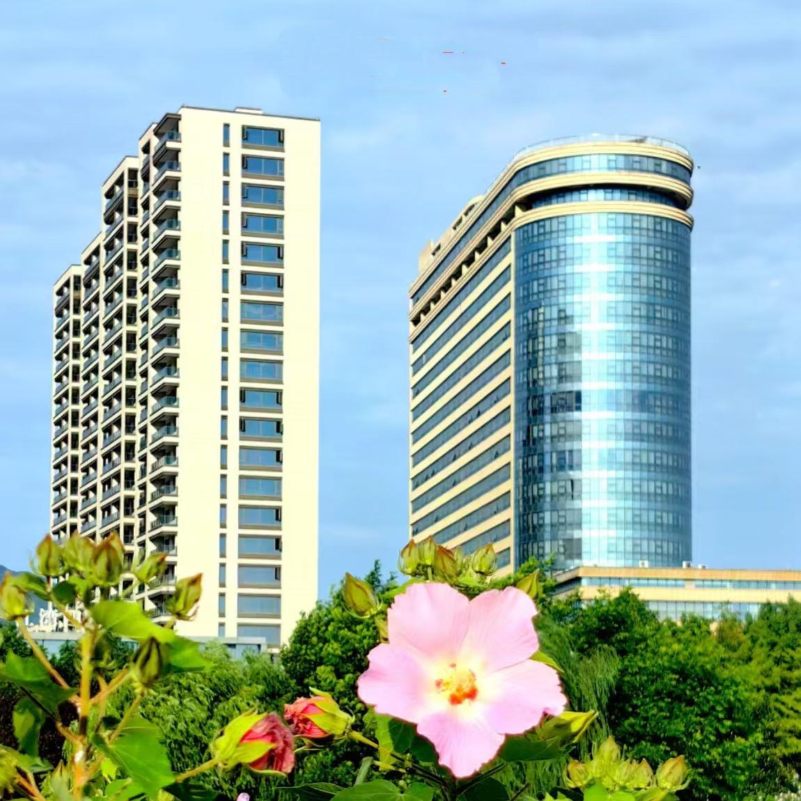 晨曦城市间……