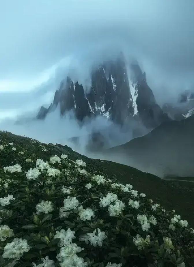 靳开来没有军功章。这个电影里最像英雄的人，最后什么都没得到。
 
你看那张染血的