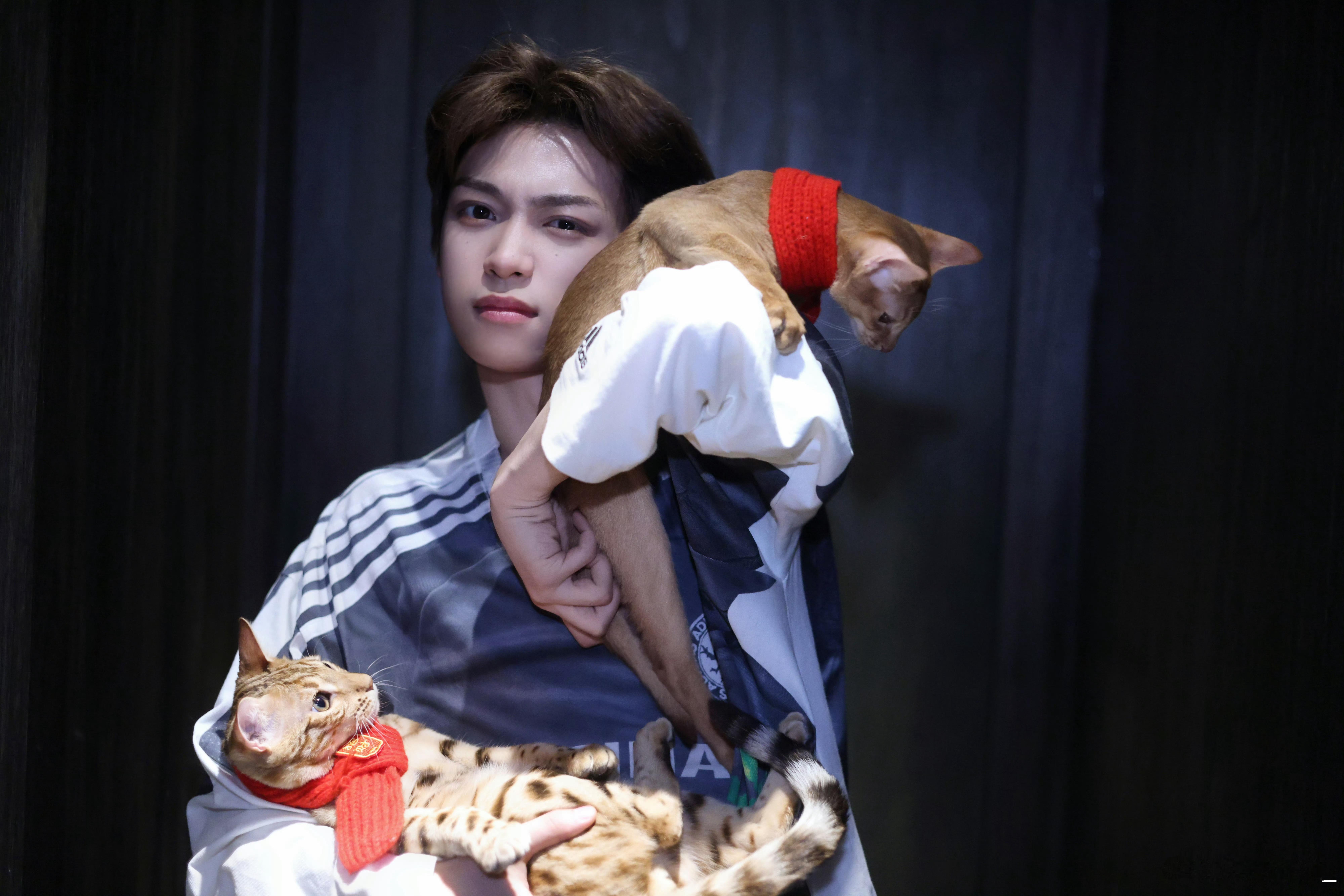「小妈咪」和他的「阿贝贝」梓渝养了两只猫，大鱼和小十一。“我感觉它们是全世界性格