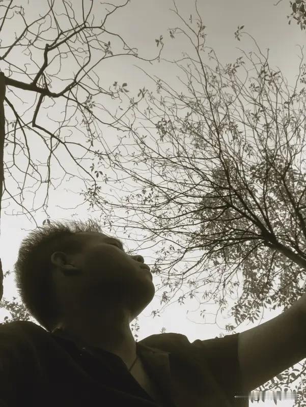 要说我读过最寂寞的诗词，当属陆游《卜算子·咏梅》里的“零落成泥碾作尘，只有香如故