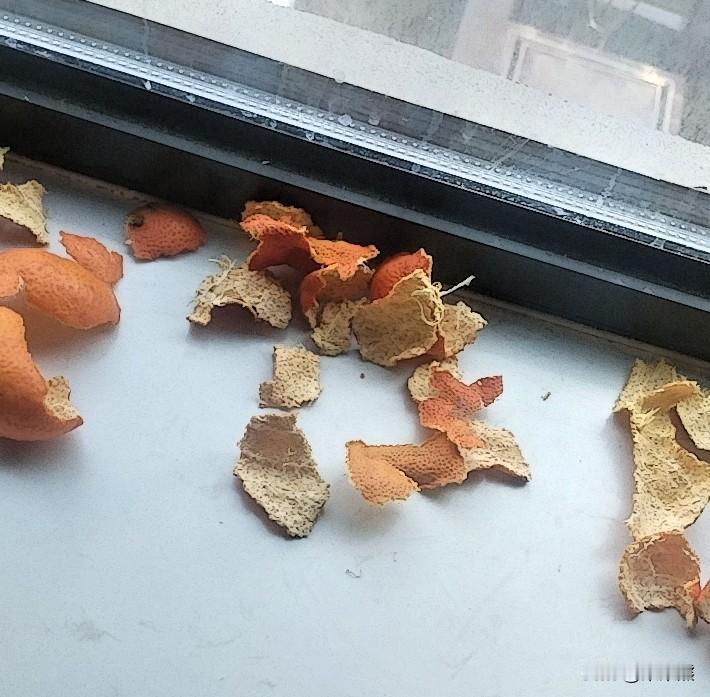 家长辅导孩子学英语，千万别把自己当成“严师”，搞得像上课一样，那样孩子很容易抵触