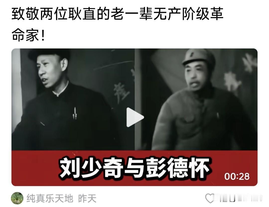 网友发视频，向两位耿直无私的老一辈革命家:刘少奇与彭德怀致敬！引起评论区网友热烈