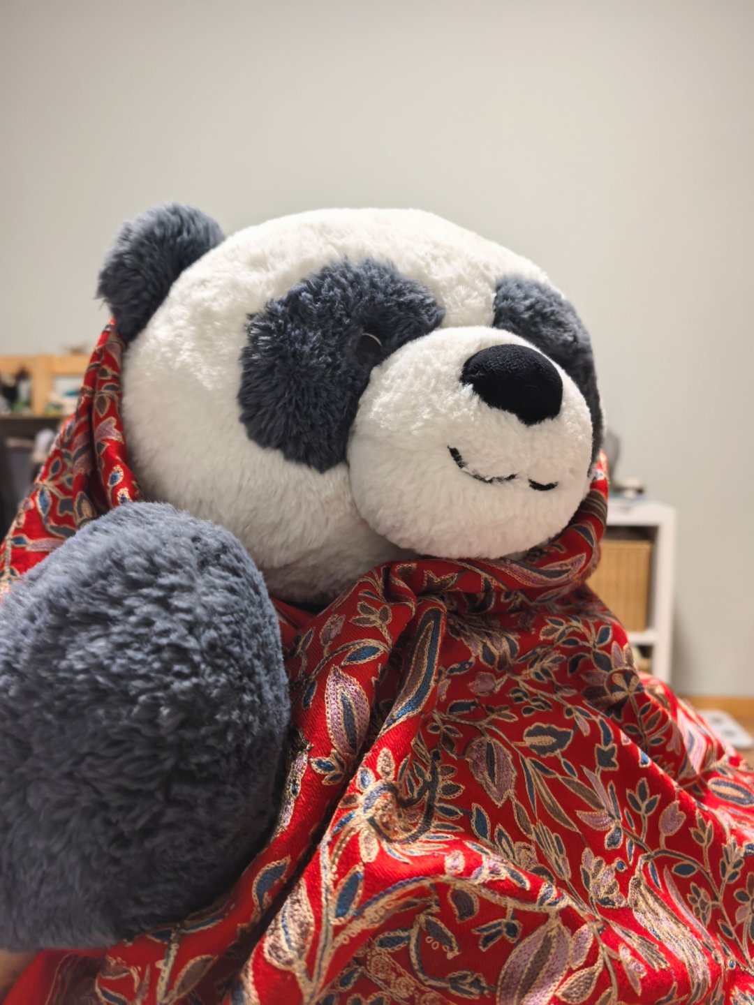 托利亚说他也要当一下胡熊。拗不过他。 