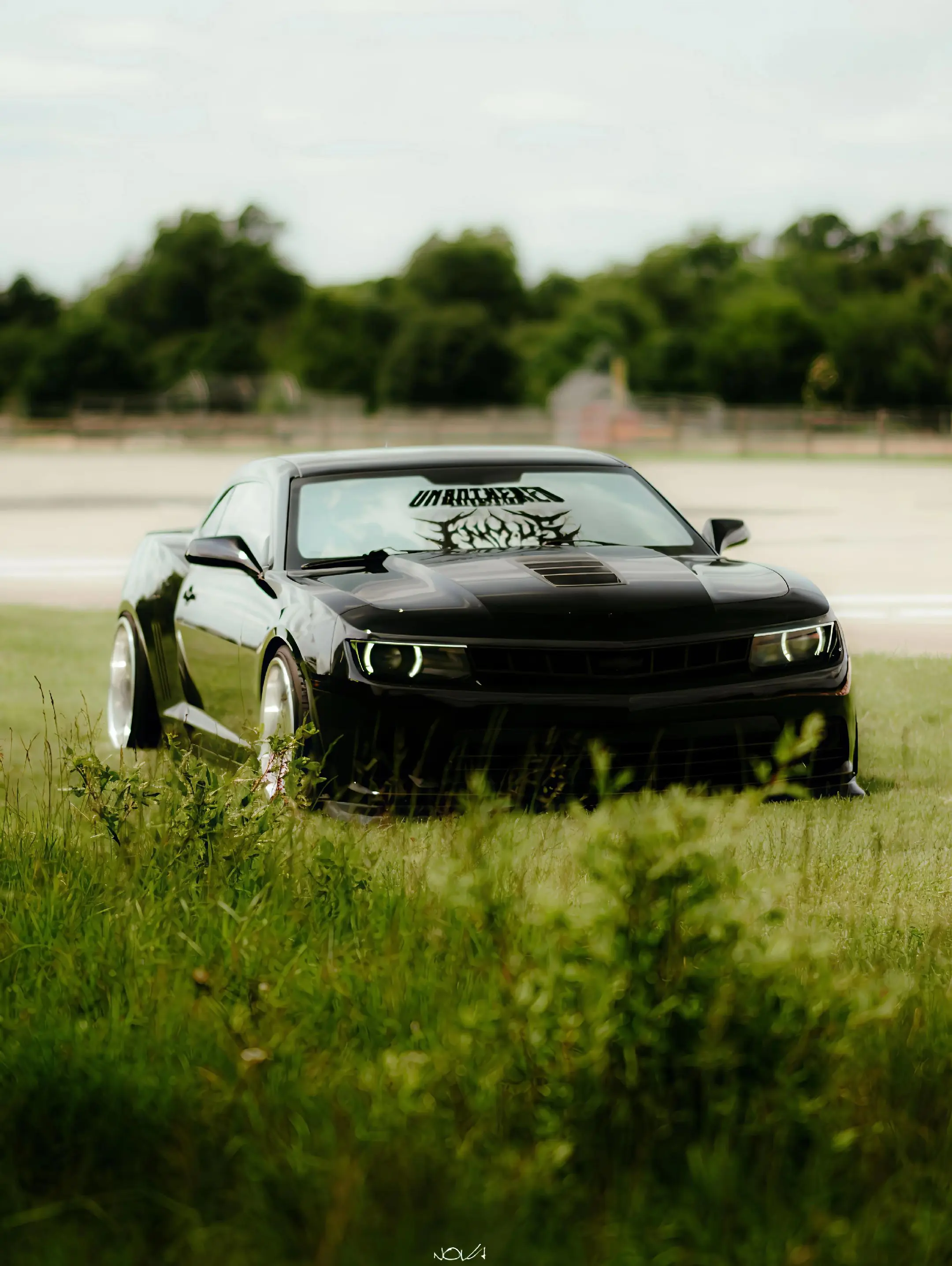 后知后觉又过了一个秋  后知后觉我该好好生活