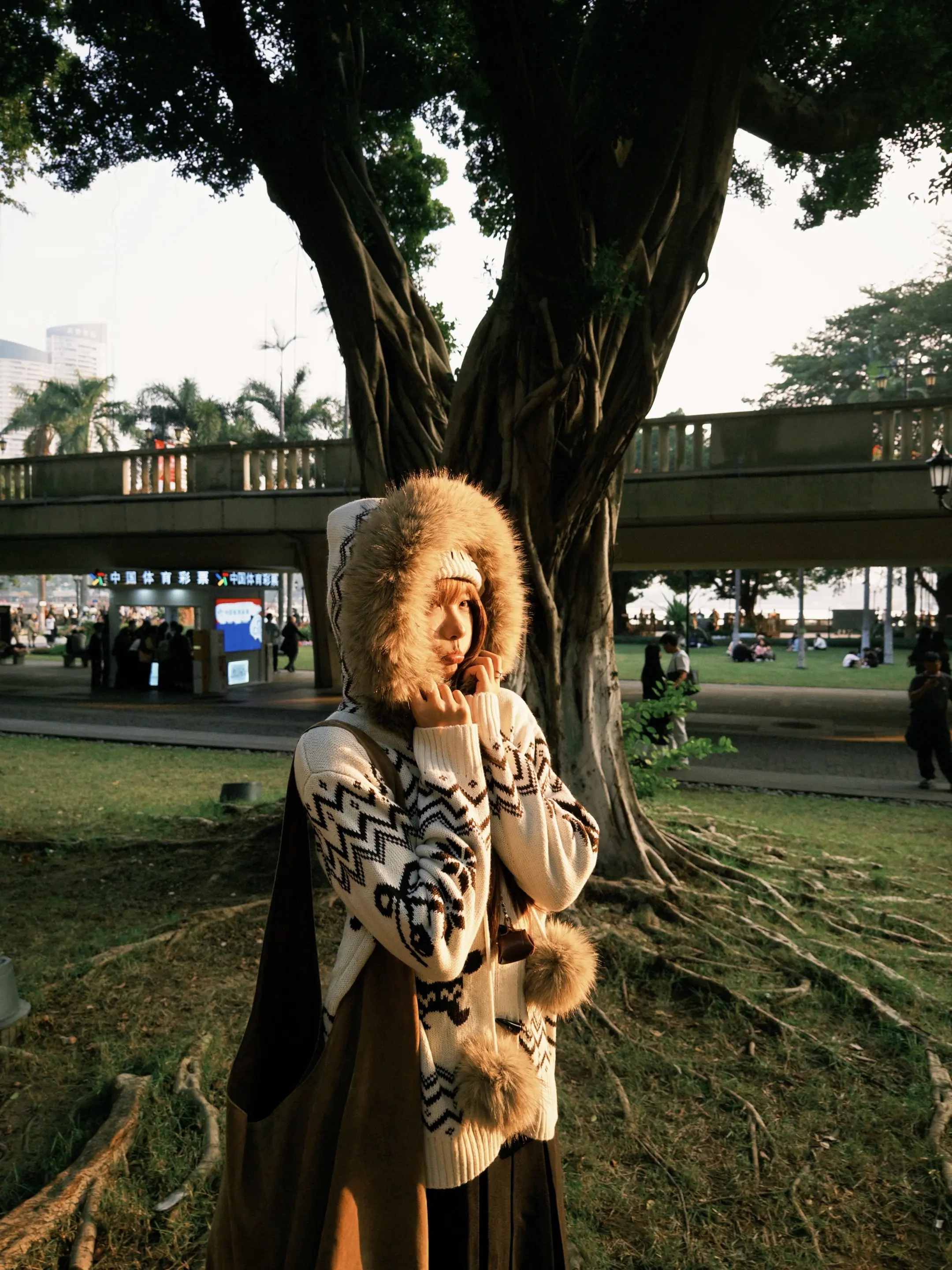 心 在离别前荡起秋千