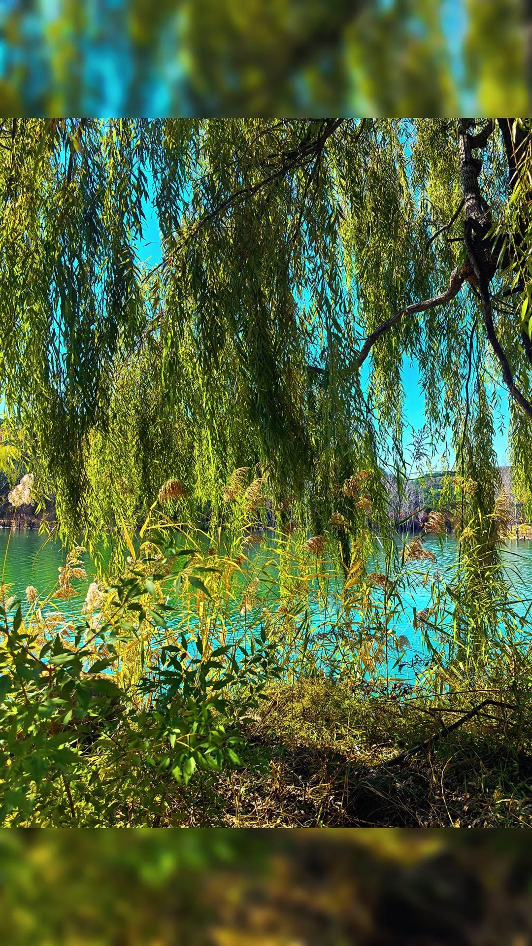✨走得快的人能先瞥见前路风景，却可能因脚步太急，错过沿途值得细品的细节。
走得慢