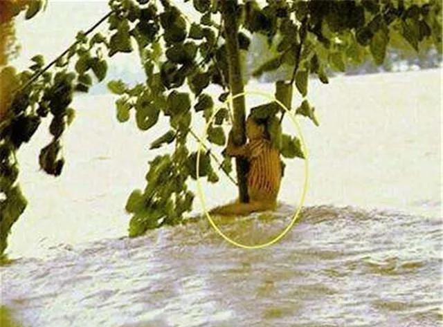 1998年长江流域特大洪水，6岁小女孩江珊一家被洪水冲散，她和奶奶死死地抱住了一