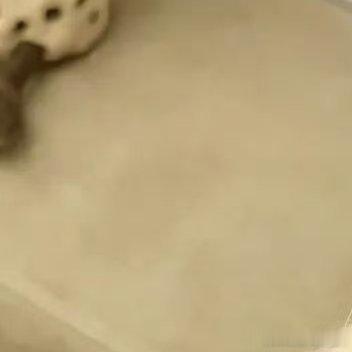 权重每日一善 善待别人，是一种优秀的品德，善待自己，是一种优雅的力量。顺境时，想