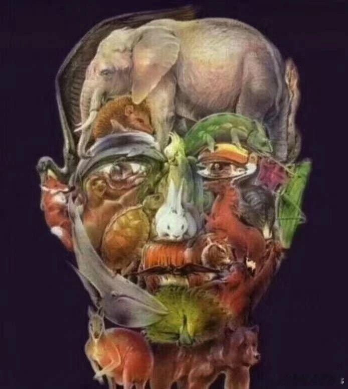 能找到骆驼，就不算老。 