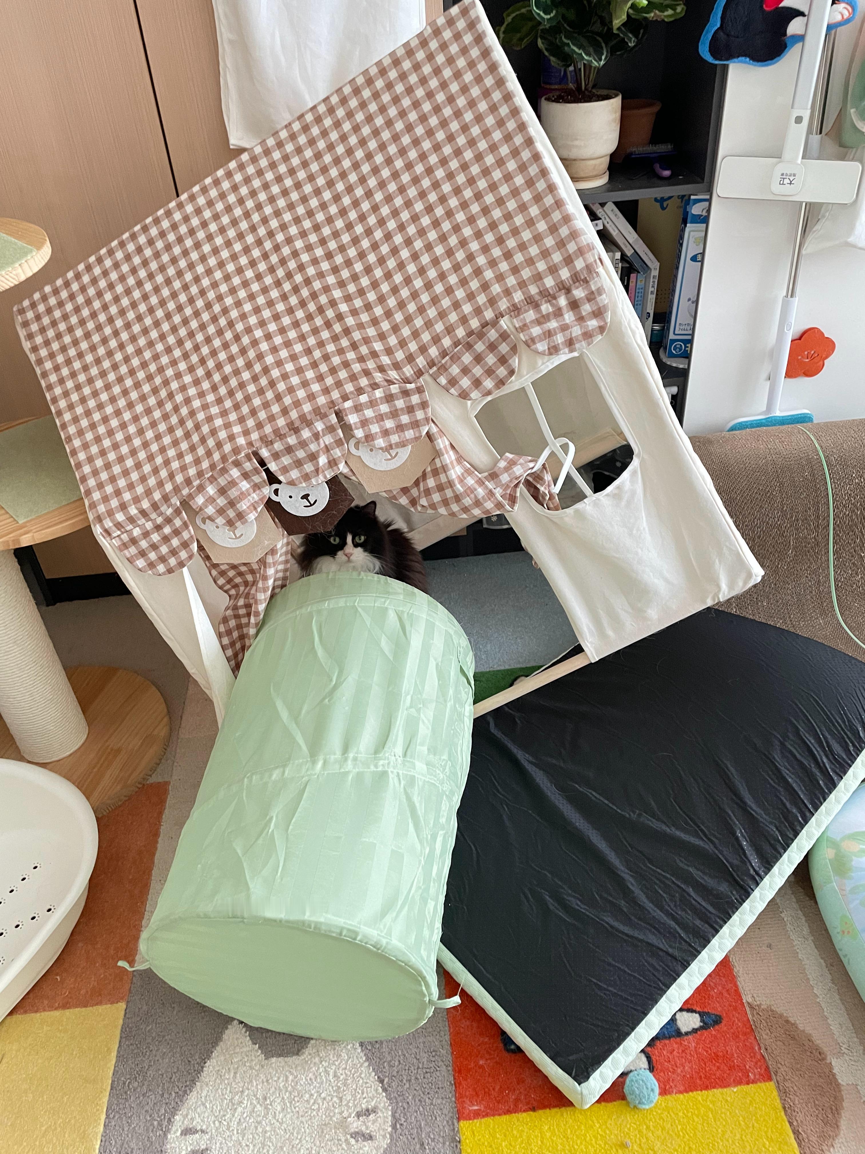 喷了！不知道怎么玩成这样，小屋窗户都断了，怀疑是句号挤的 ​​​