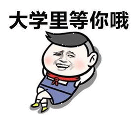 学信网查不到中专学历学信网只能查大专以上的学历，高中和中专都查不到吧？ 