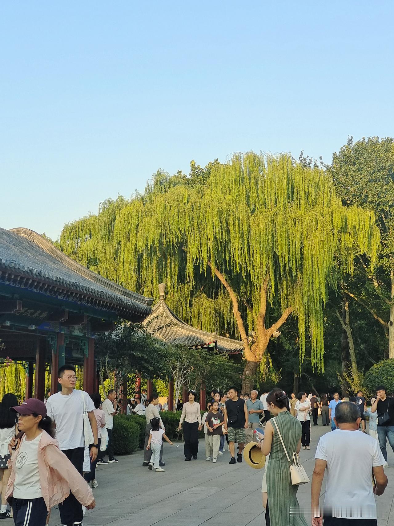 人不是能劝醒的，而是悟醒的。

对于一个装睡的人，是喊不醒的。

只有真正睡着的