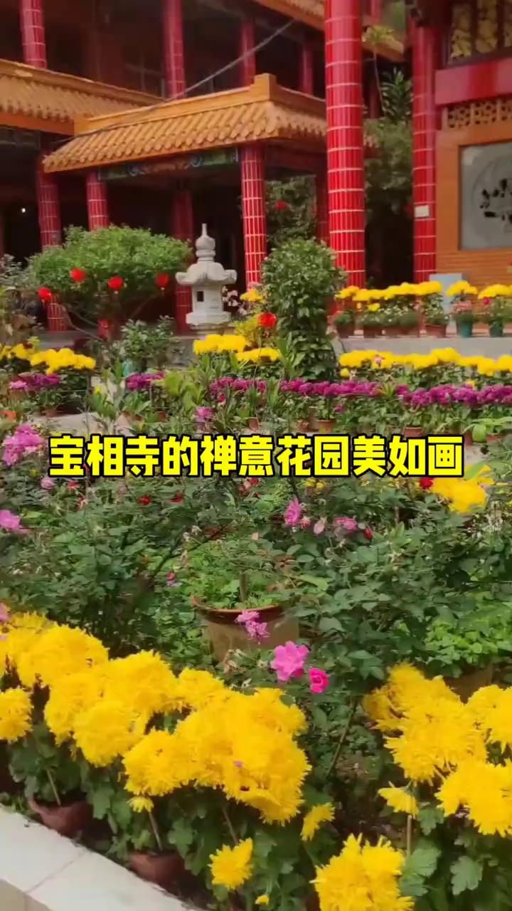 宝相寺的禅意花园美如画。
宝相寺的庭院美如画，绿植环绕，鲜花似锦，四季花卉点缀其
