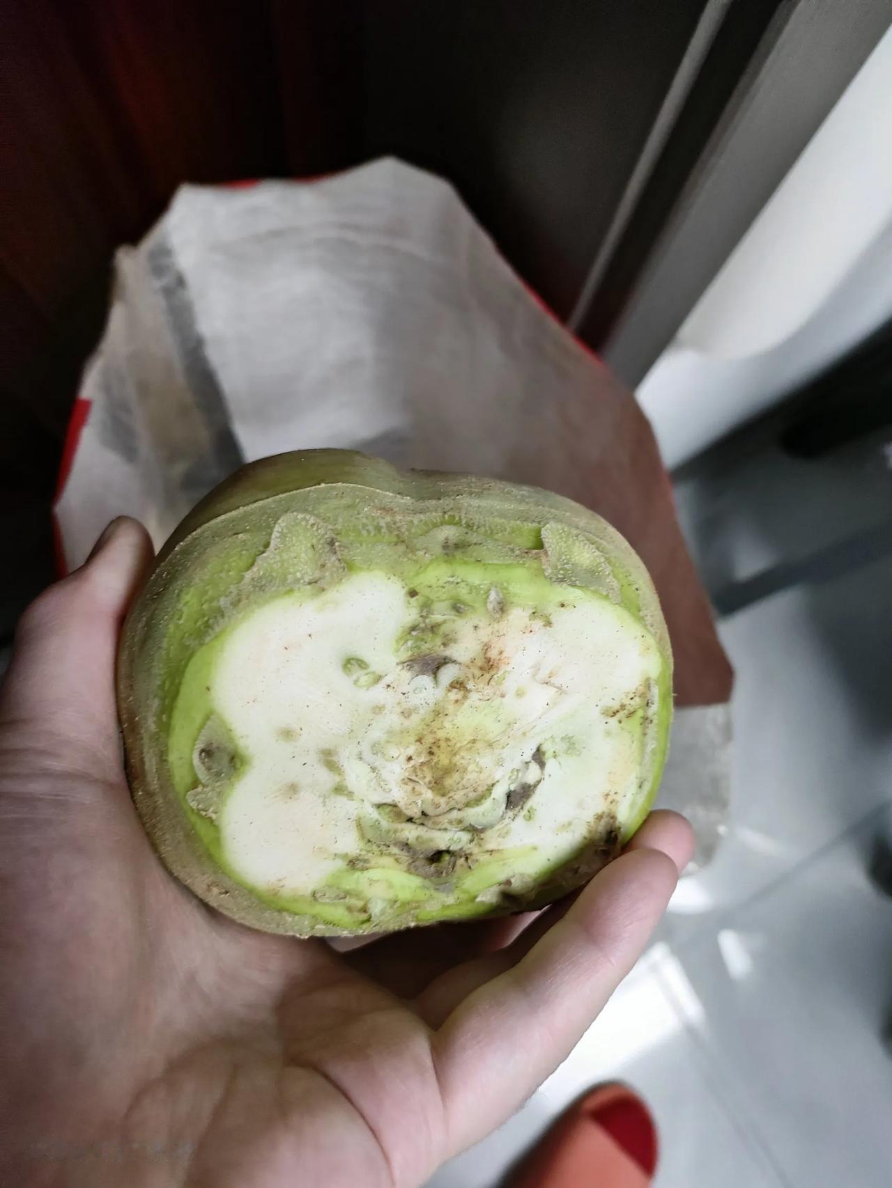 向南方的宝子们安利一种东北人冬天都离不开的咸菜——芥菜疙瘩。
这是刚刚从大地里挖