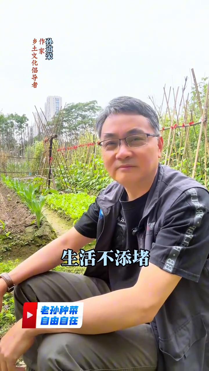献给天下种菜人的5个锦囊。
·菜园发个呆，万事全抛开。
·菜园拍个照，烦恼全忘掉