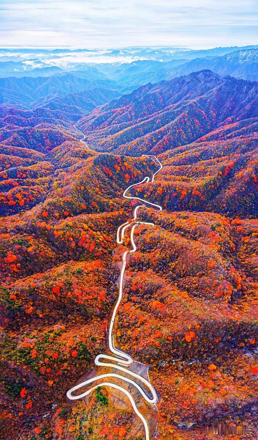 虽已立冬，秋韵犹存，在依依不舍间，轰轰烈烈的秋天即将画上句号。在霜落的清晨，在艳