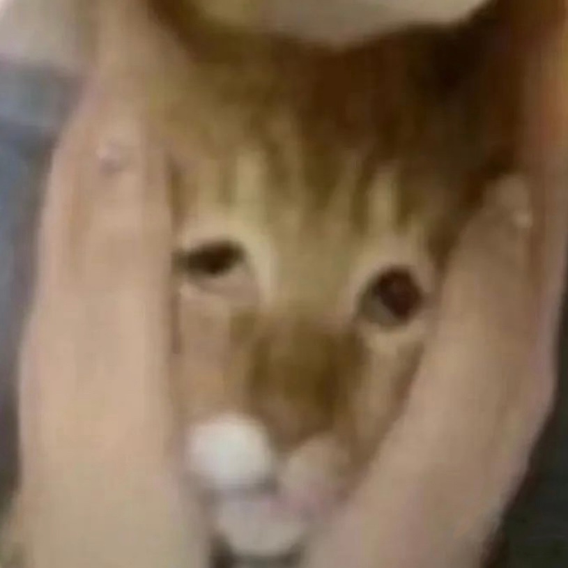 近期爱包 