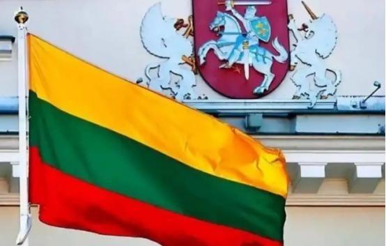 立陶宛就因在台湾设立代表处，被中国降为代办级，经济上遭中国严厉制裁，立陶宛原以为