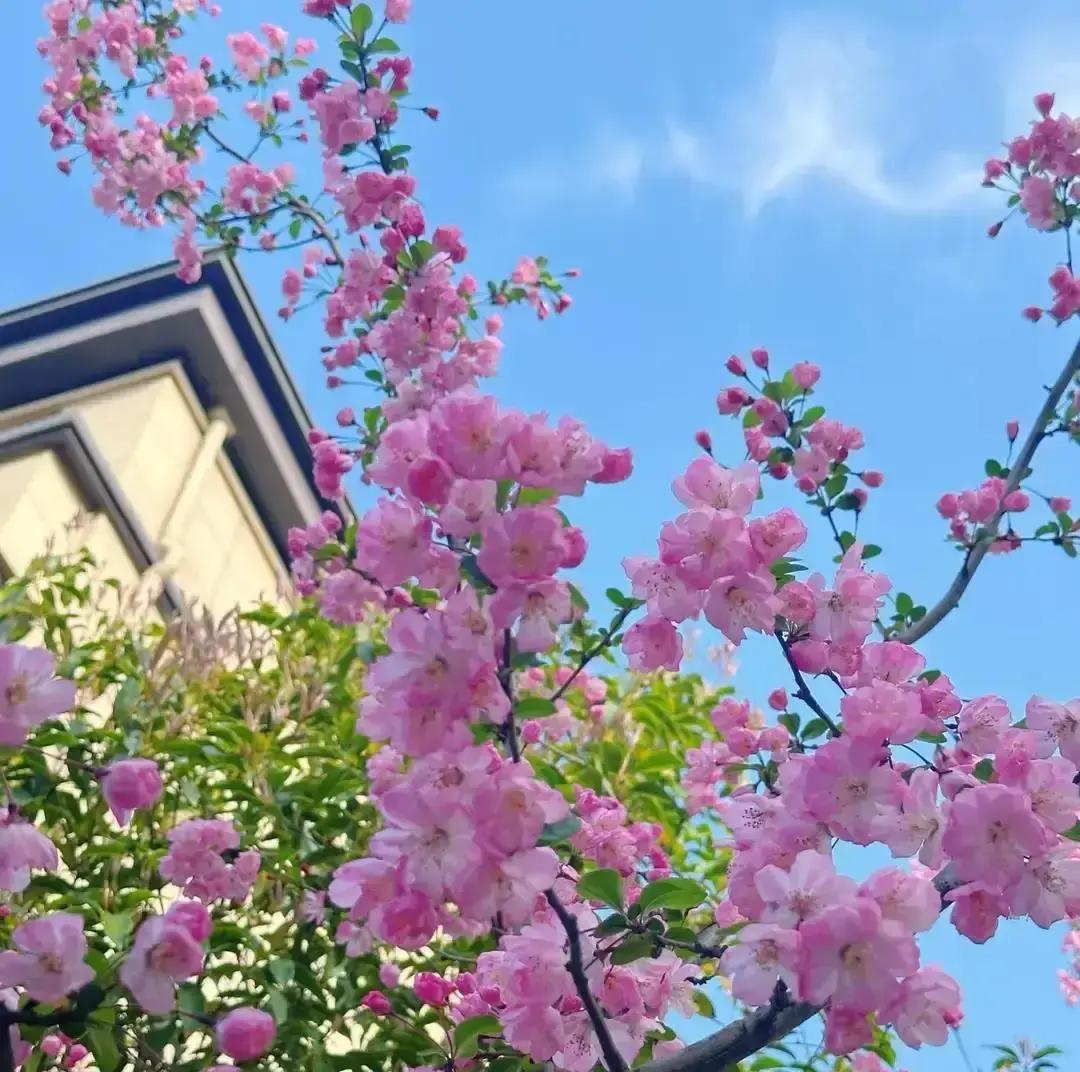 带娃五年我彻底把说教戒了。

以前我一张嘴孩子就捂耳朵，作业错一堆我吼到嗓子冒烟