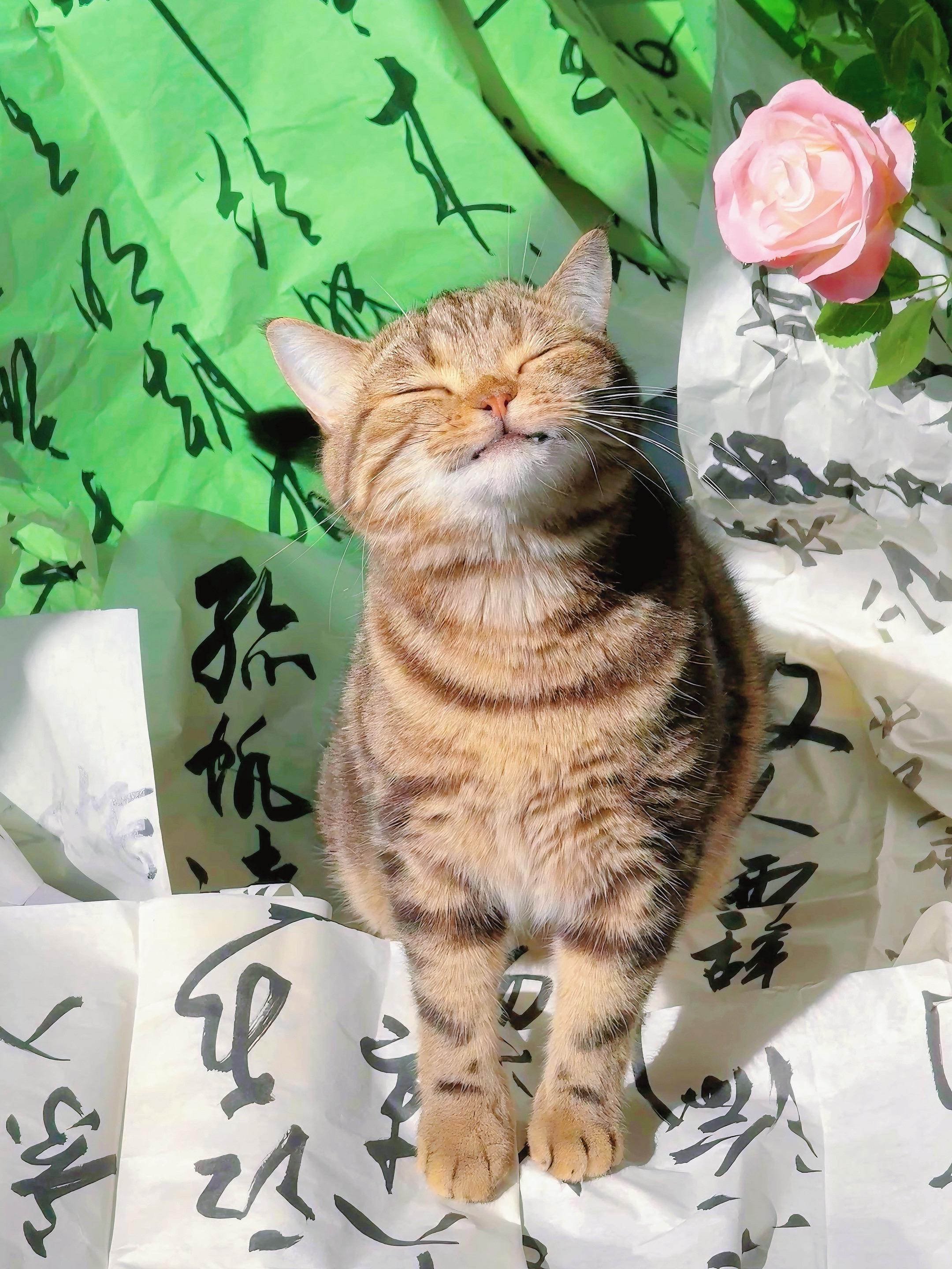 每个享受的表情我都爱。