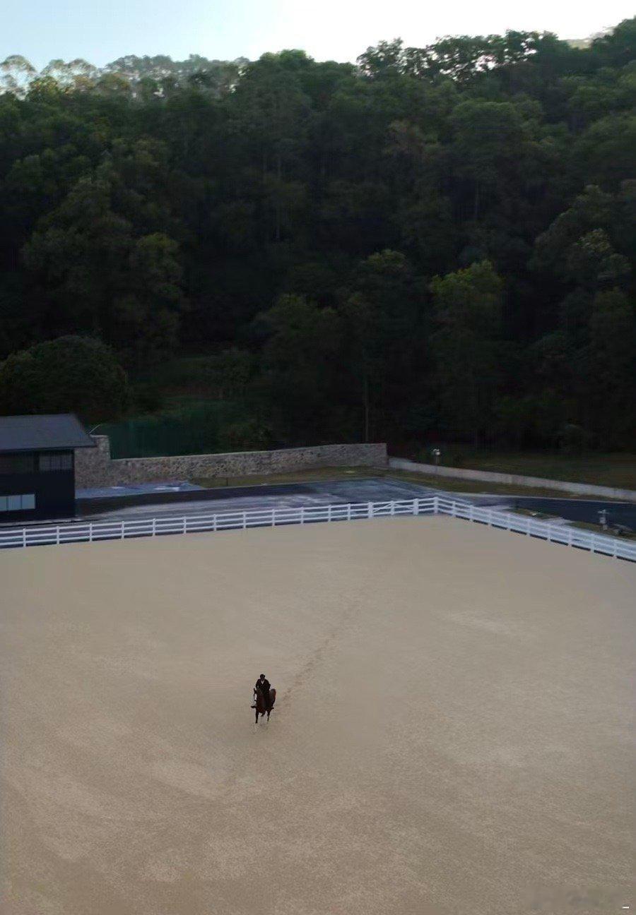 不会骑马的建议反复观看余总马年拍马视频太绝！华为Mate X7影像功能玩法的第二