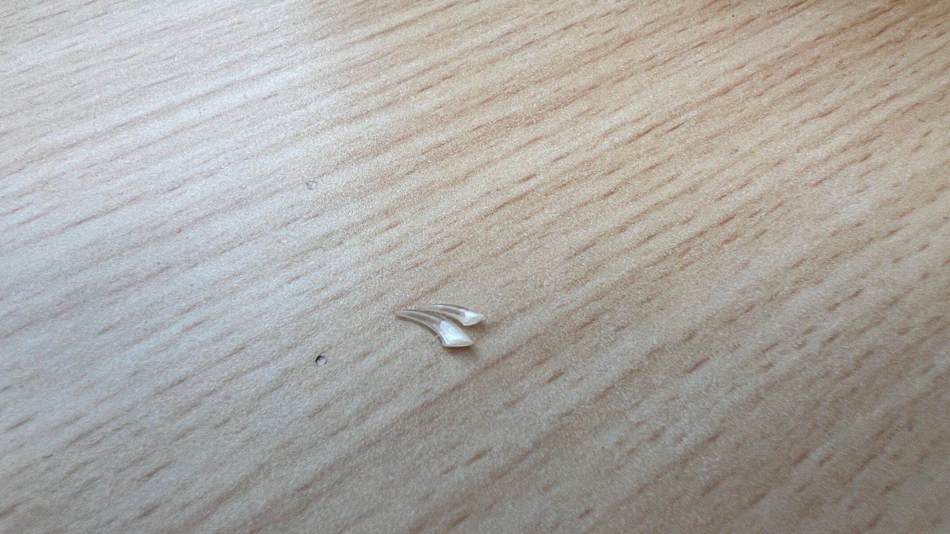 显微镜🔬观察猫指甲[嘻嘻] ​​​