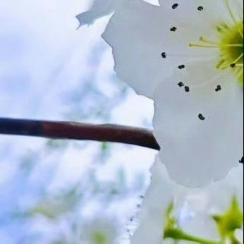 阳光信用  阳光信用 互动打卡 不是和别人比，是和昨天的自己比。前进了一步就是胜