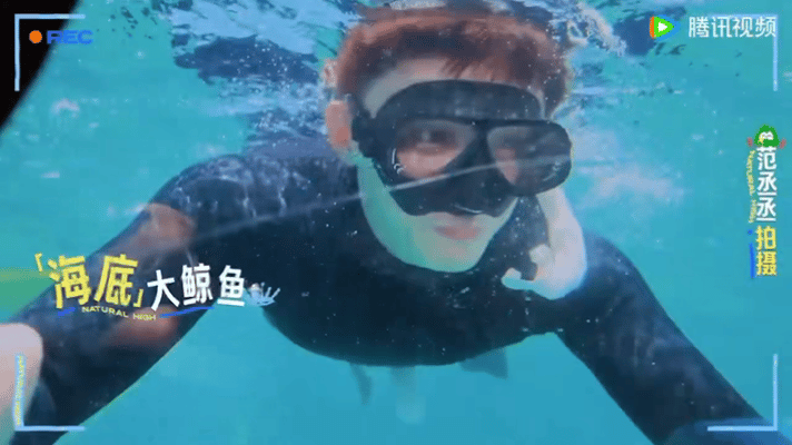 黄景瑜浪里白条形态黄景瑜自由潜游得好丝滑被黄景瑜自由潜片段圈粉，浪里白条既视感，