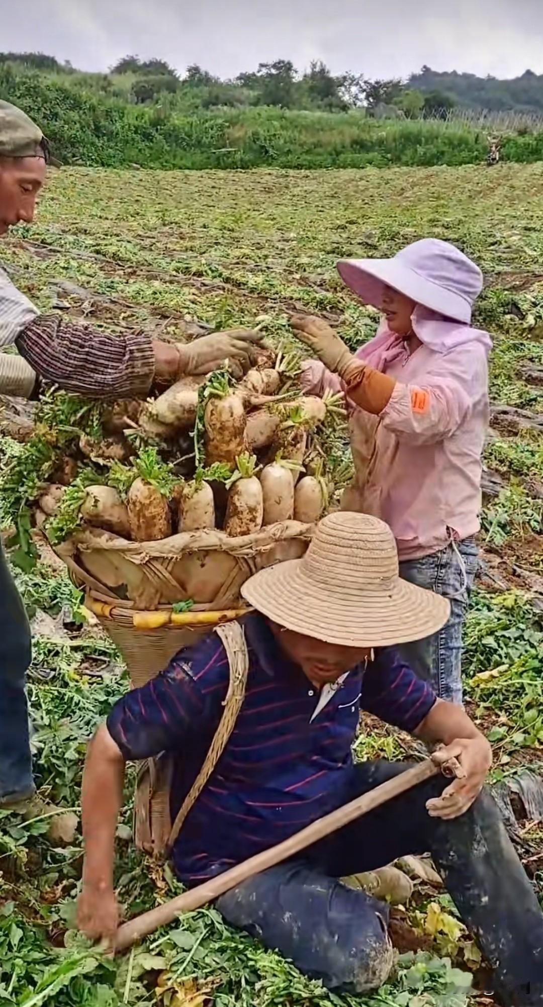 2003年那个夏天，爸妈在火烧坪做了一整个暑假的苦力，筹齐3000多元费用，送我
