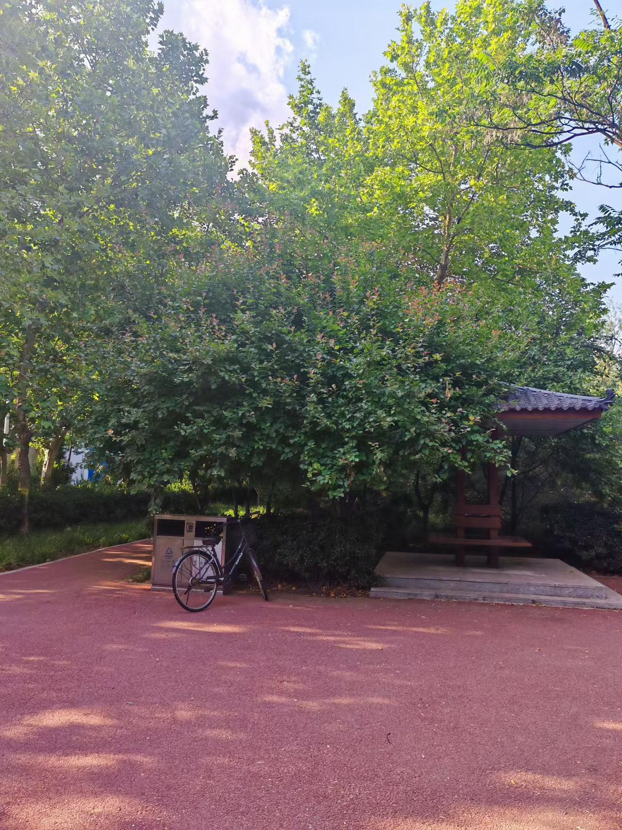【晚霞吟】（韩联社）

华清北街民心河西侧街边公园里，有三座错落有致的无名小亭，