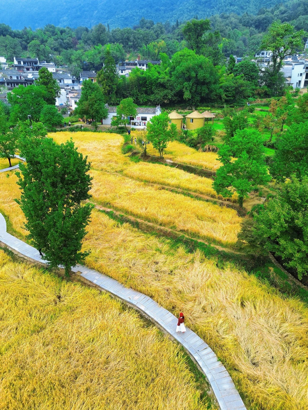 跟着杨紫《家业》游徽州，秋景也太绝了吧‼️