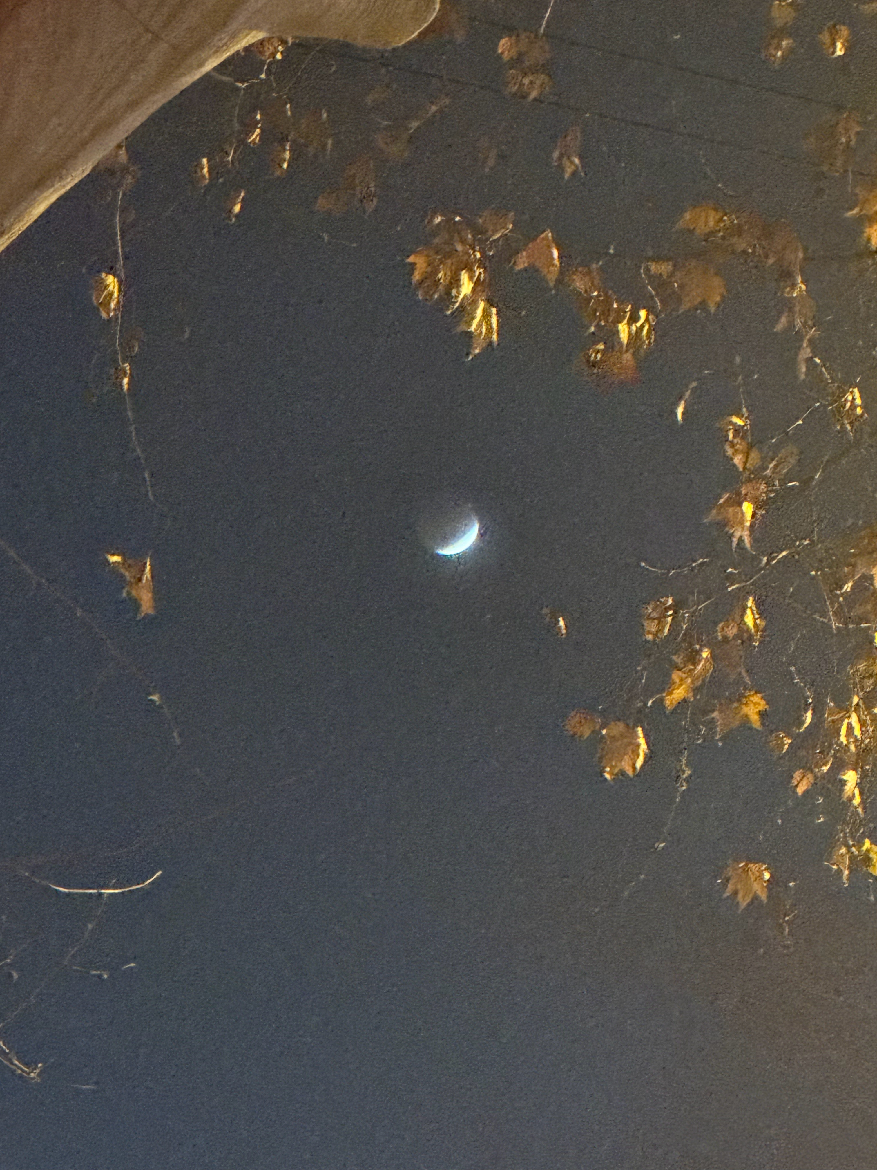 月全食 也是让我赶上了 