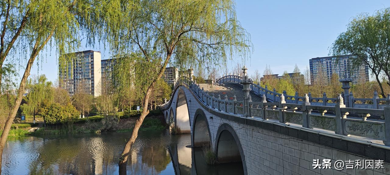 张水华会成为专业马拉松运动员吗为什么要成为专业运动员？我感觉她现在这样挺好，走自