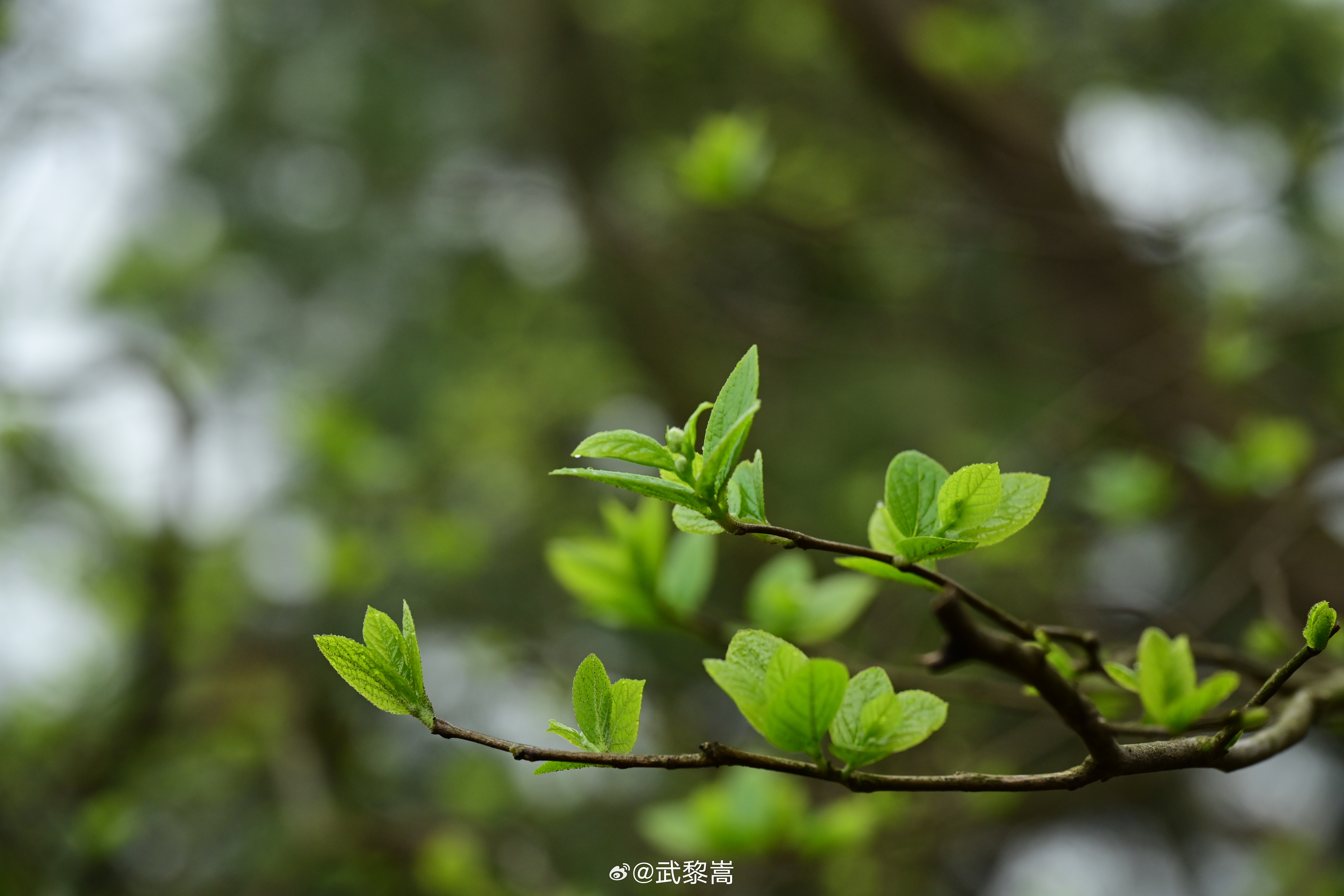 方弃汝南诺，言税辽东田。。。宣城