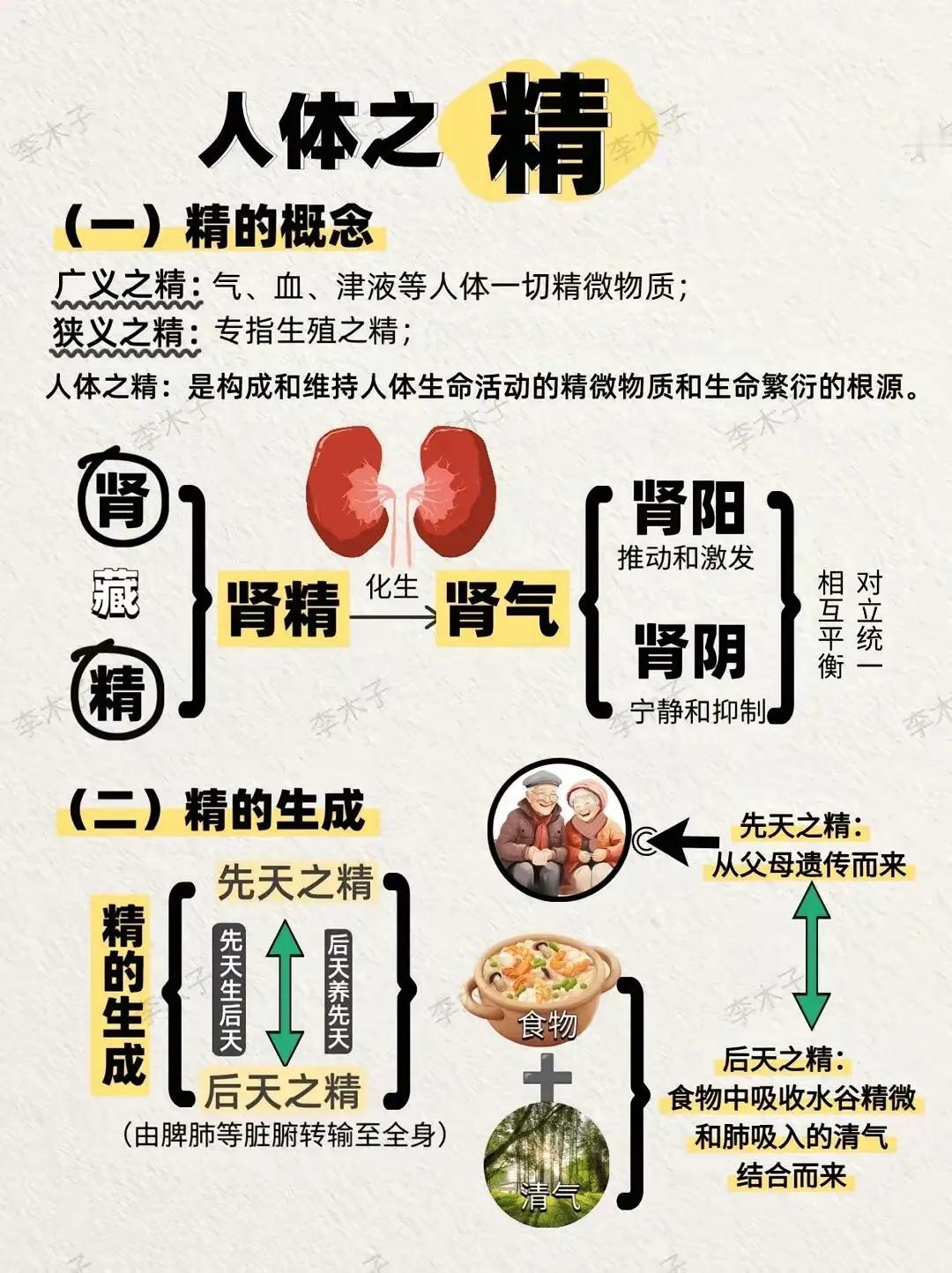 人体之精、气、神、血、津液