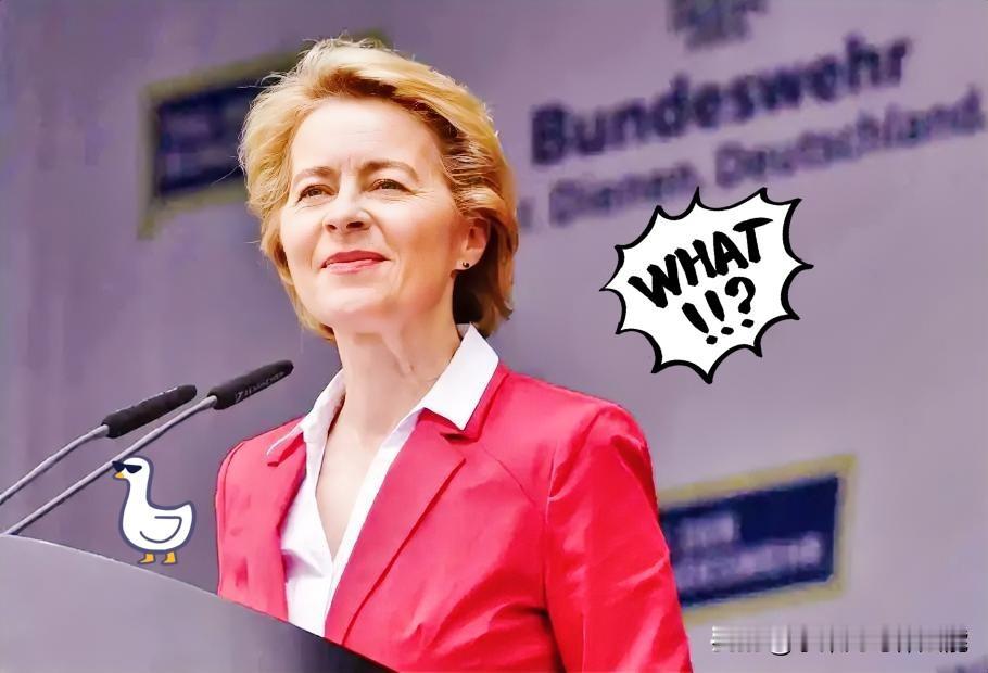 今日消息！
欧盟冯德莱恩宣布了！

当地时间26号，冯德莱恩在欧洲议会直接扔出了