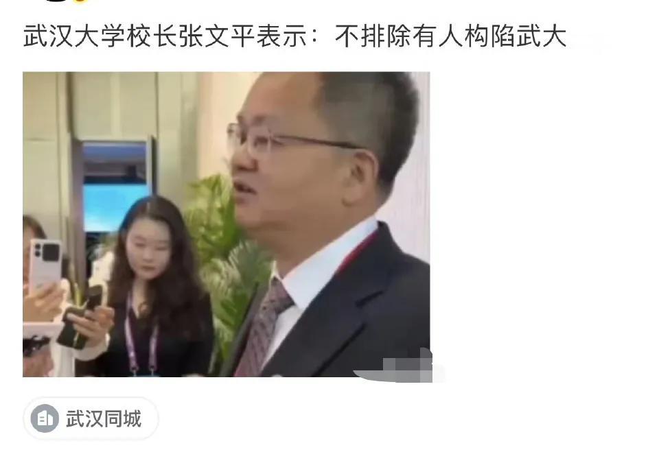 不排除有人构陷武大的可能？