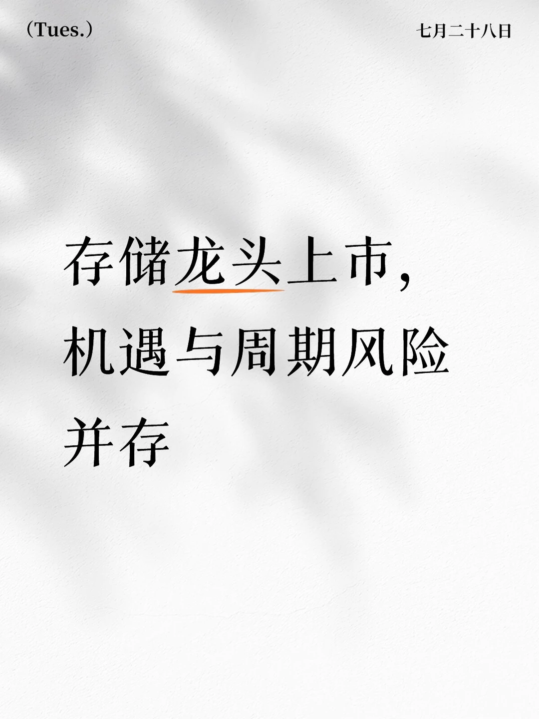 存储龙头上市，机遇与周期风险并存